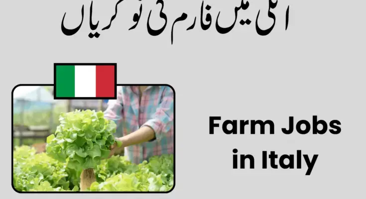 Farm Jobs in Italy 2026
