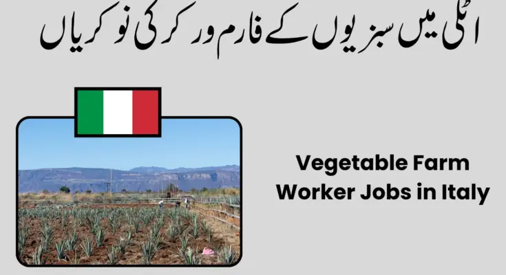 Vegetable Farm Jobs in Italy 2026